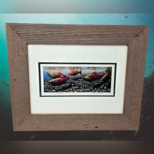 Ed Newbold Sockeye Salmon Print In Ocean Swimming Colorful Beachy Coastal Vibe